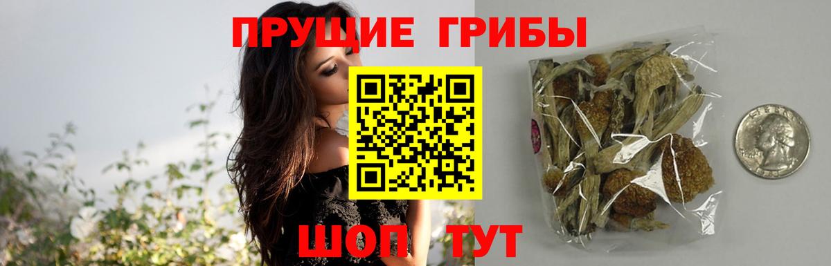 Москва  Псилоцибиновые грибы Cubensis  Вход с VPN 